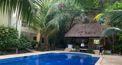 Best American Standards Caribbean Condo Rental - P.D.C - Playacar