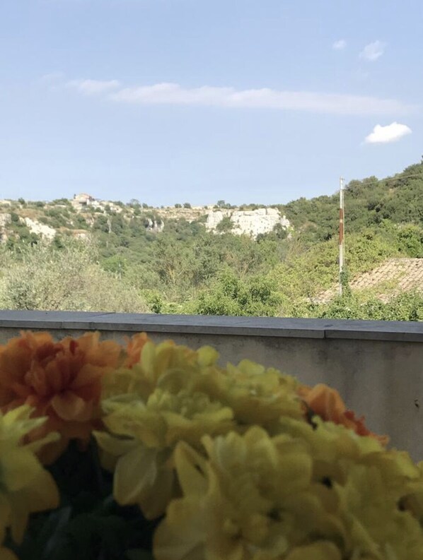 Vista de uma paisagem montanhosa com vegetação e edifícios ao longe.