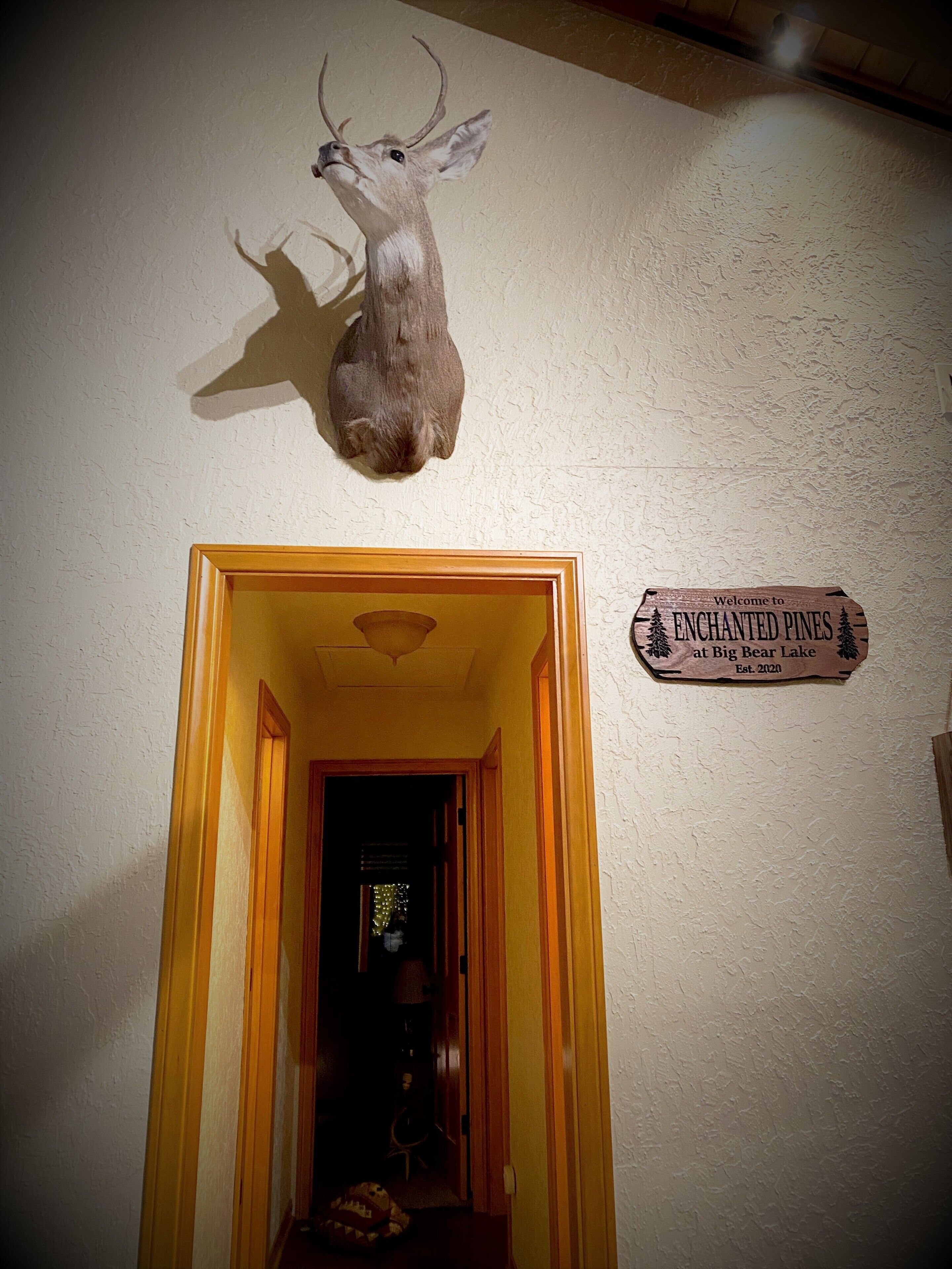 Ein an der Wand aufgehängter Hirschkopf, ein Holztürrahmen und ein Schild mit der Aufschrift 'Welcome to Enchanted Pines at Big Bear Lake Established 2020'.