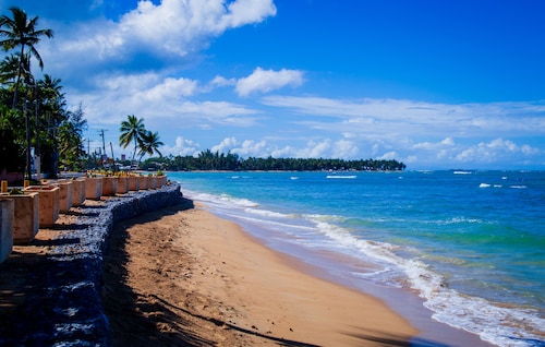 Burungos Place @ Saman Residences C-2