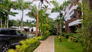 A pathway lined with palm trees leading to a building with a stone facade and a wooden staircase.