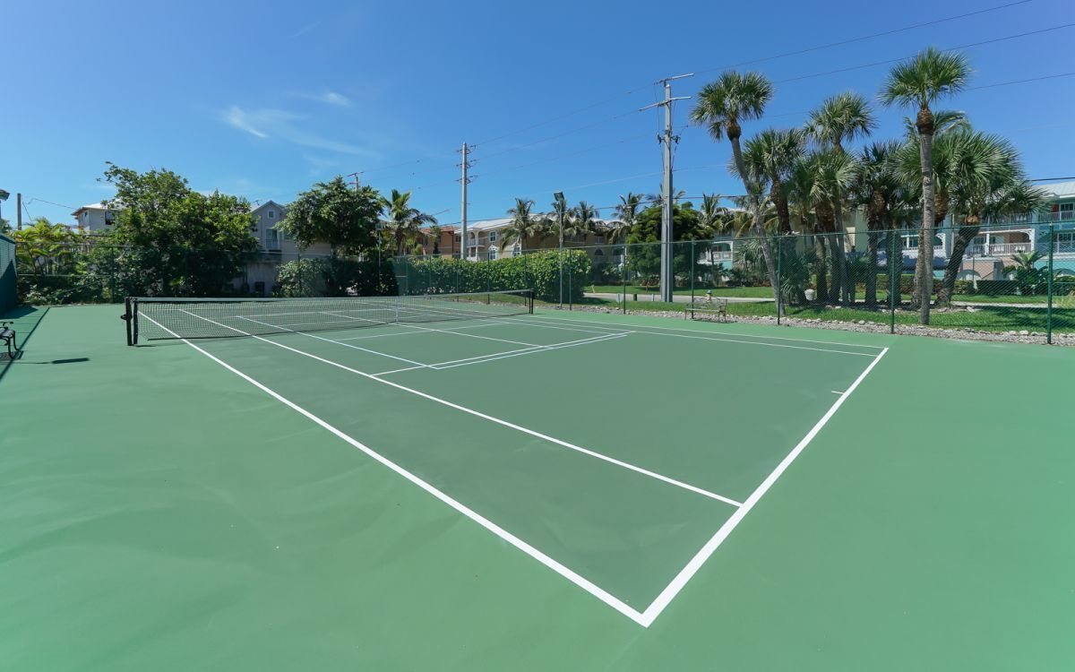 Cancha de tenis con red, rodeada por una cerca y palmeras.