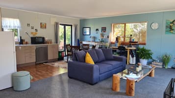 Smart TV, fireplace, DVD player, books