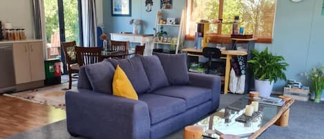TV connectée, cheminée, lecteur de DVD, livres