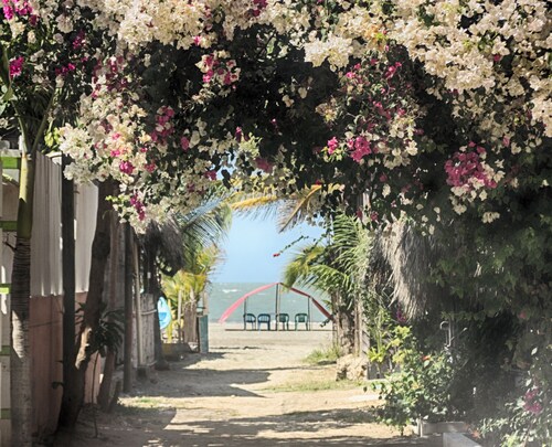 Our house is located 20 meters from beach.