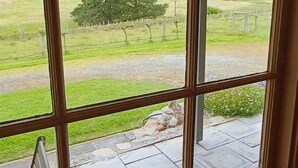A room with a large window overlooking a grassy field and a tree.