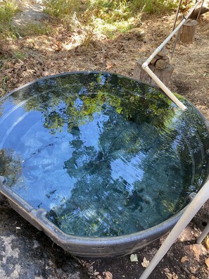 A large, clear water feature with a metal frame, surrounded by natural vegetation.