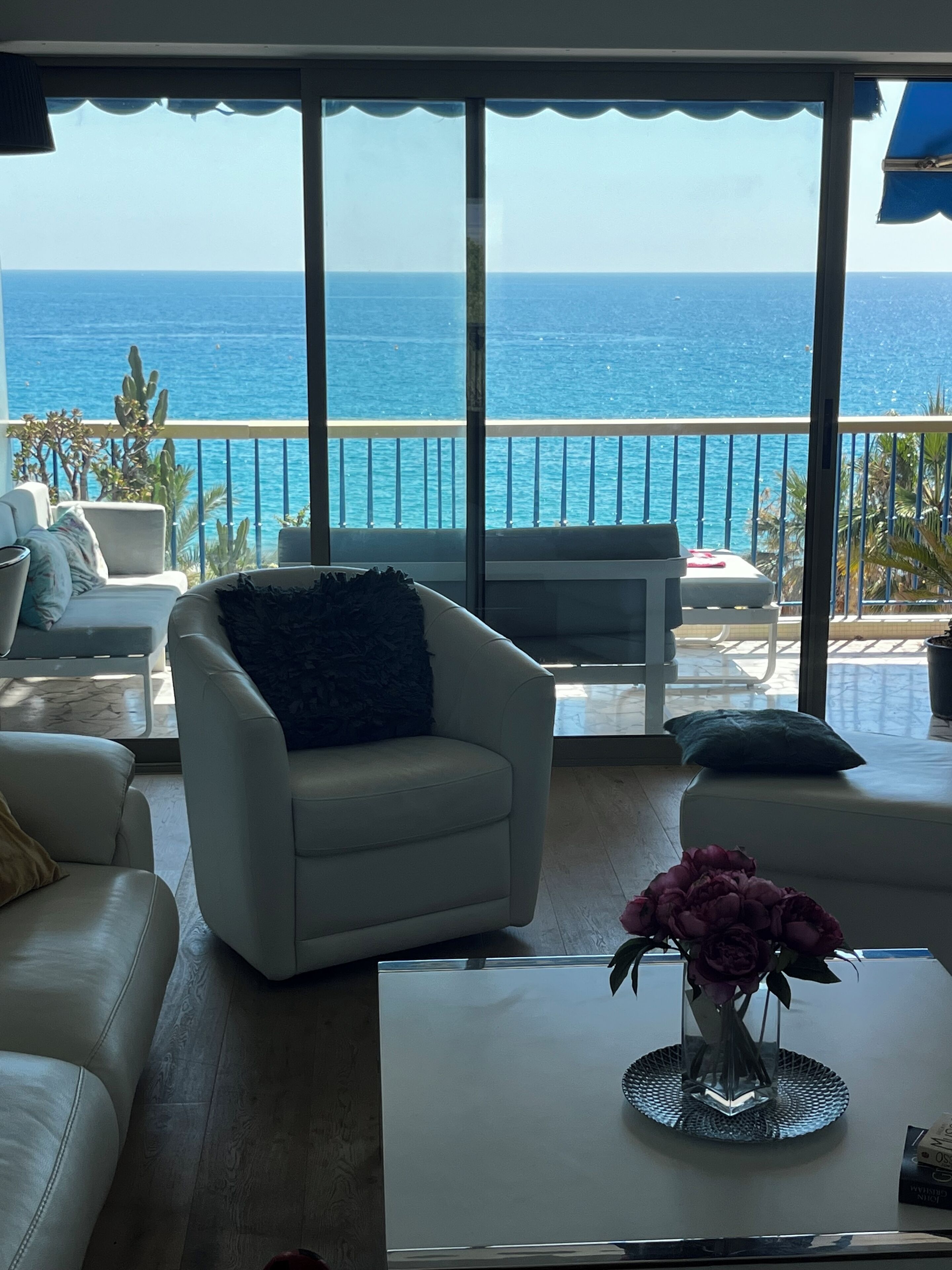 智能电视、乒乓球、书、打印机