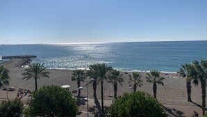 A beach with palm trees, a clear sky, and a calm sea.