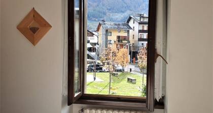 Two-room apartment in the heart of Valmalenco within walking distance of ski lifts