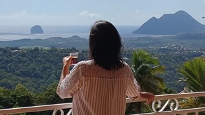 Una persona contemplando un paisaje pintoresco con montañas y una masa de agua.
