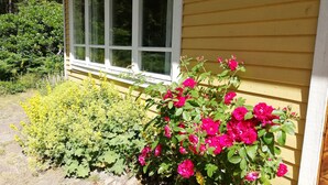 Una casa con ventana y jardín lleno de flores rosadas y follaje verde.