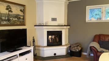 Smart TV, chimenea y reproductor de DVD