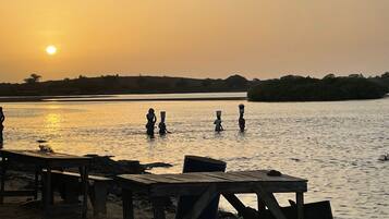 Playa en los alrededores y camastros