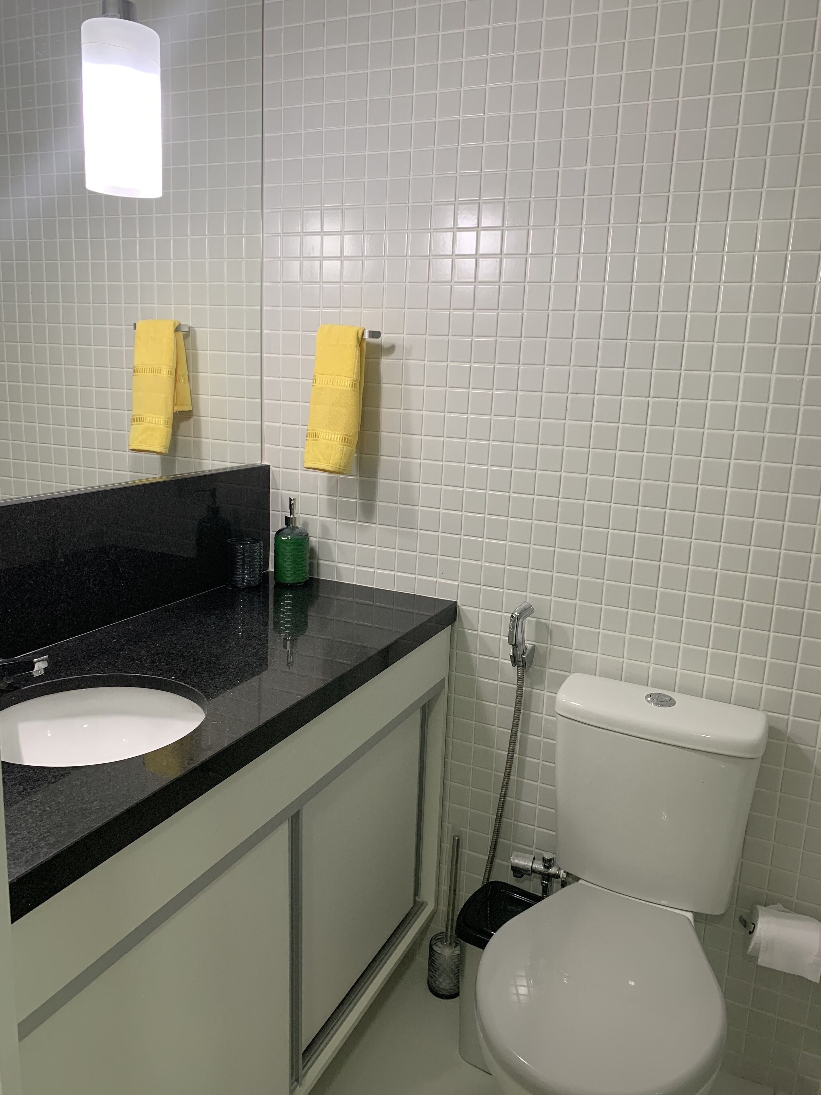 Secador de cabelo, toalhas de banho, sabonete, papel higiênico