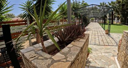 Hector Villa Airport