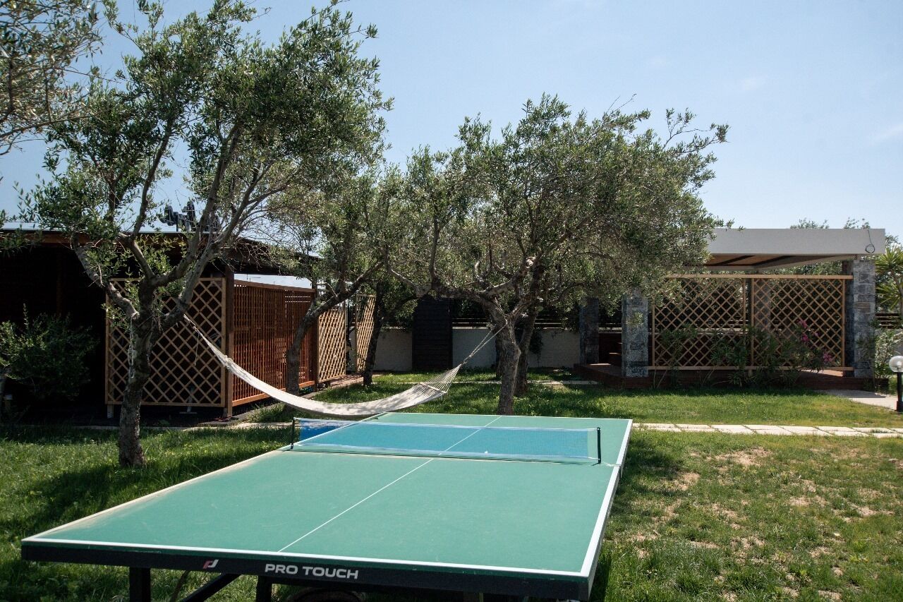 Una mesa de ping pong verde en un patio trasero con árboles y una hamaca.