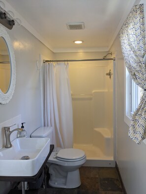 Combined shower/bathtub, hair dryer, towels, soap - Cozy cottage with backyard firepit (Asheville)