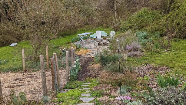 A garden with a stone pathway, wooden fence, and outdoor seating area. - Cozy cottage with backyard firepit (Asheville)
