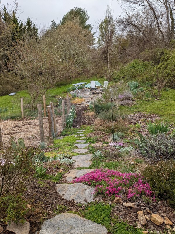Property grounds - Cozy cottage with backyard firepit (Asheville)