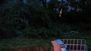 A fire pit with logs and rocks, surrounded by a metal bench with cushions. - Cozy cottage with backyard firepit (Asheville)