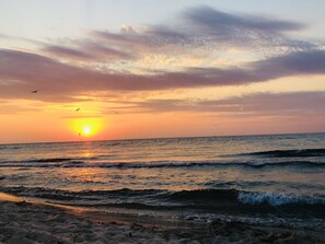 Beach nearby - South Wind, walk to the beach, zoo, & more! (Michigan City)