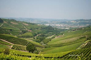 Deluxe Double Room, 1 King Bed, Garden View | Garden view - Villa Bellavista (Alba)