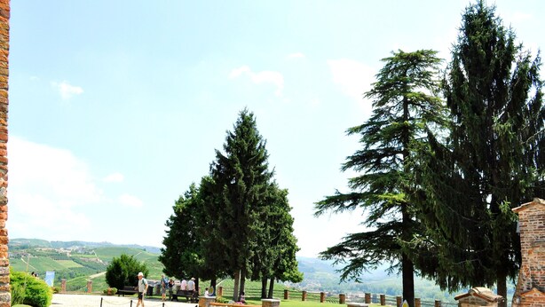 Unclassified image, 1 of 82, button - Villa Bellavista (Alba)