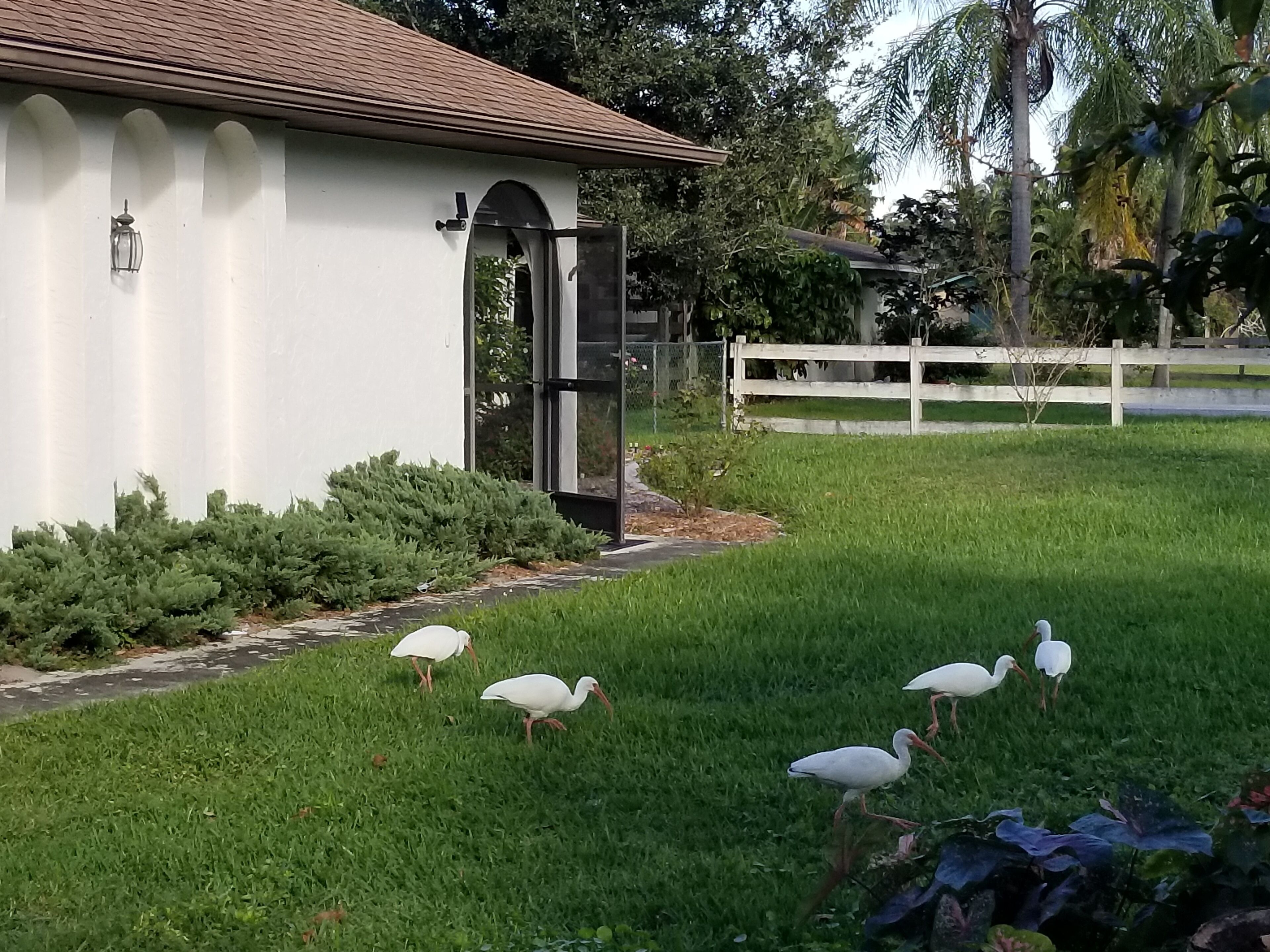 Terrain de l’hébergement 