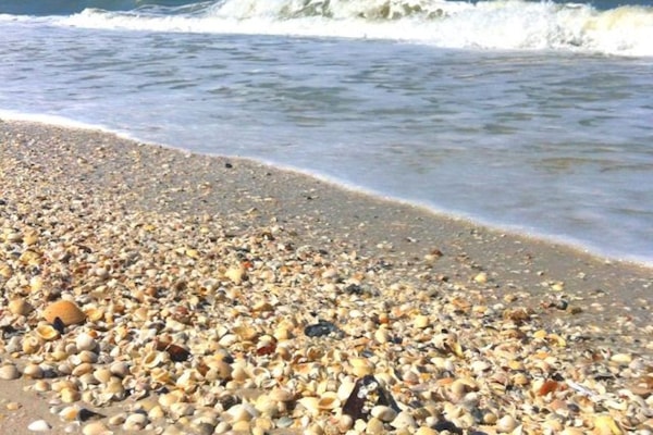 Nær stranden, solsenger og strandhåndklær