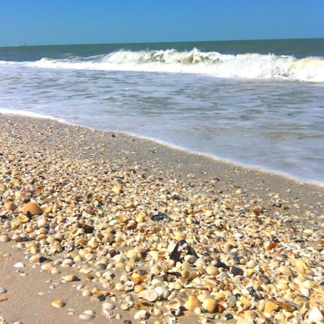 Beach nearby, sun-loungers, beach towels. Family and pet friendly, close to Naples, Estero, and Fort Myers
