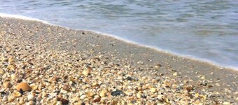 Family and pet friendly, close to Naples, Estero, and Fort Myers