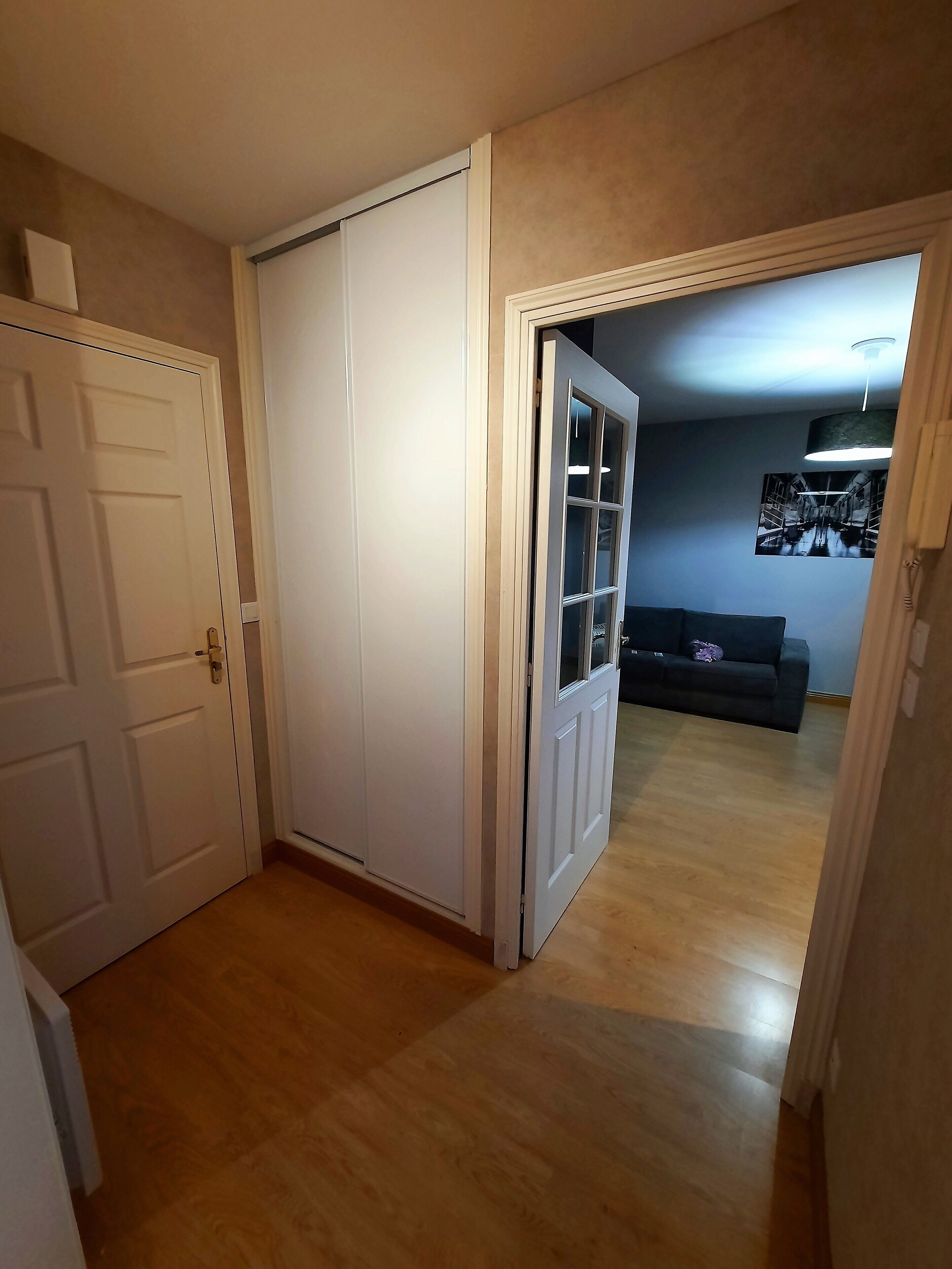 A hallway with a closed door, a sliding closet door, and a dark-colored sofa in the background.