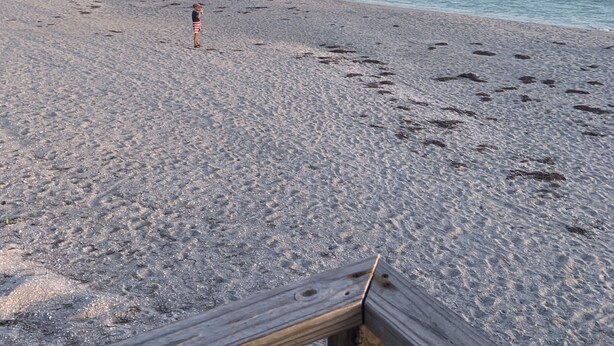 A beach with a wooden fence in the foreground and a person standing in the distance.