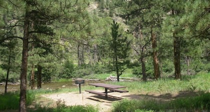 Clean, Cozy, Comfy, Great Location, Pets Welcome, Well Equipped Kitchen.