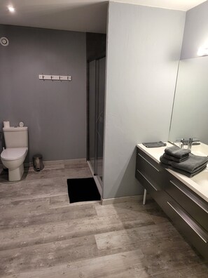 Shower, hair dryer, towels, toilet paper