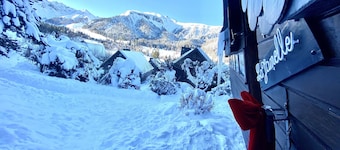 Chalet " LA JANELLE " Le Mont-Dore