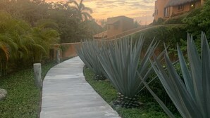 A concrete pathway flanked by agave plants and palm trees, leading to a building with a thatched roof.