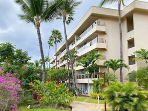 Exterior - Maui Banyan A - 5 Min Walk to Beach, Pool, AC (Kihei)