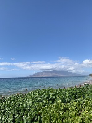 Beach nearby, sun loungers, beach towels - Wailea Ekahi6D NEWLY UPDATED 2nd Floor, Part Ocean View,1 min walk to Beach&Pool (Wailea)