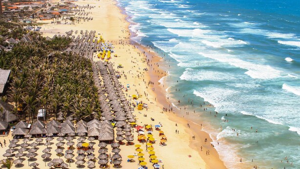 Une plage bordée de rangées de parasols en chaume et de palmiers, une étendue de sable et l’océan.