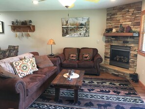Smart TV, fireplace, books