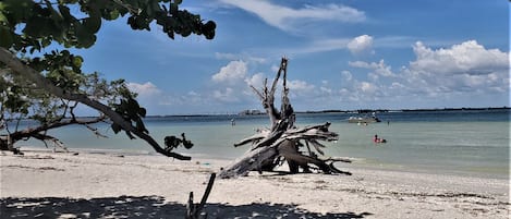 Plage à proximité, chaises longues, serviettes de plage