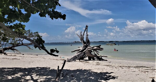Plage à proximité, chaises longues, serviettes de plage