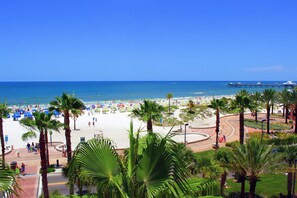 A beach with palm trees, umbrellas, and a pier in the background.