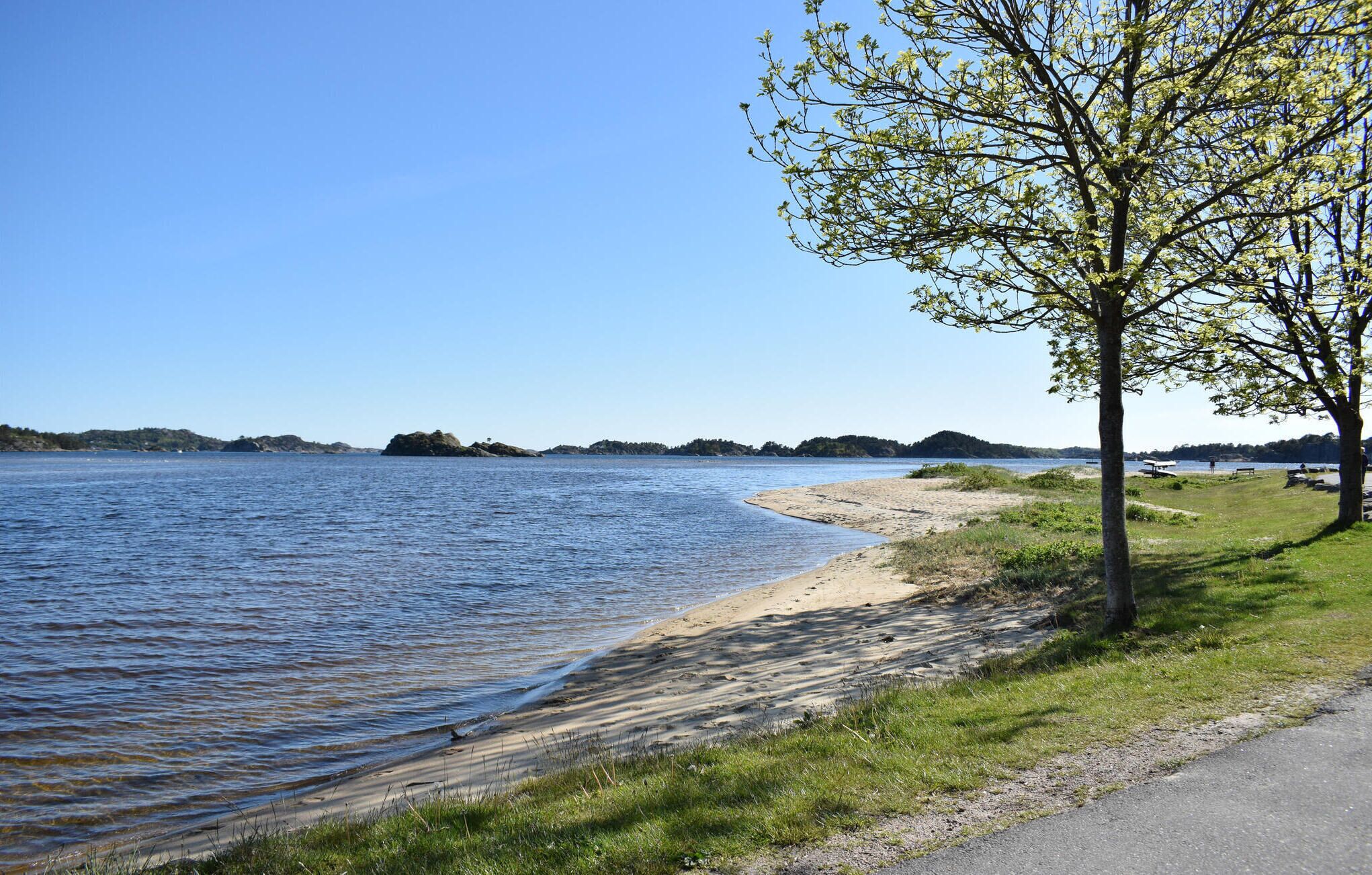 Blick auf einen See mit Sandstrand, einem Baum und Hügeln in der Ferne.
