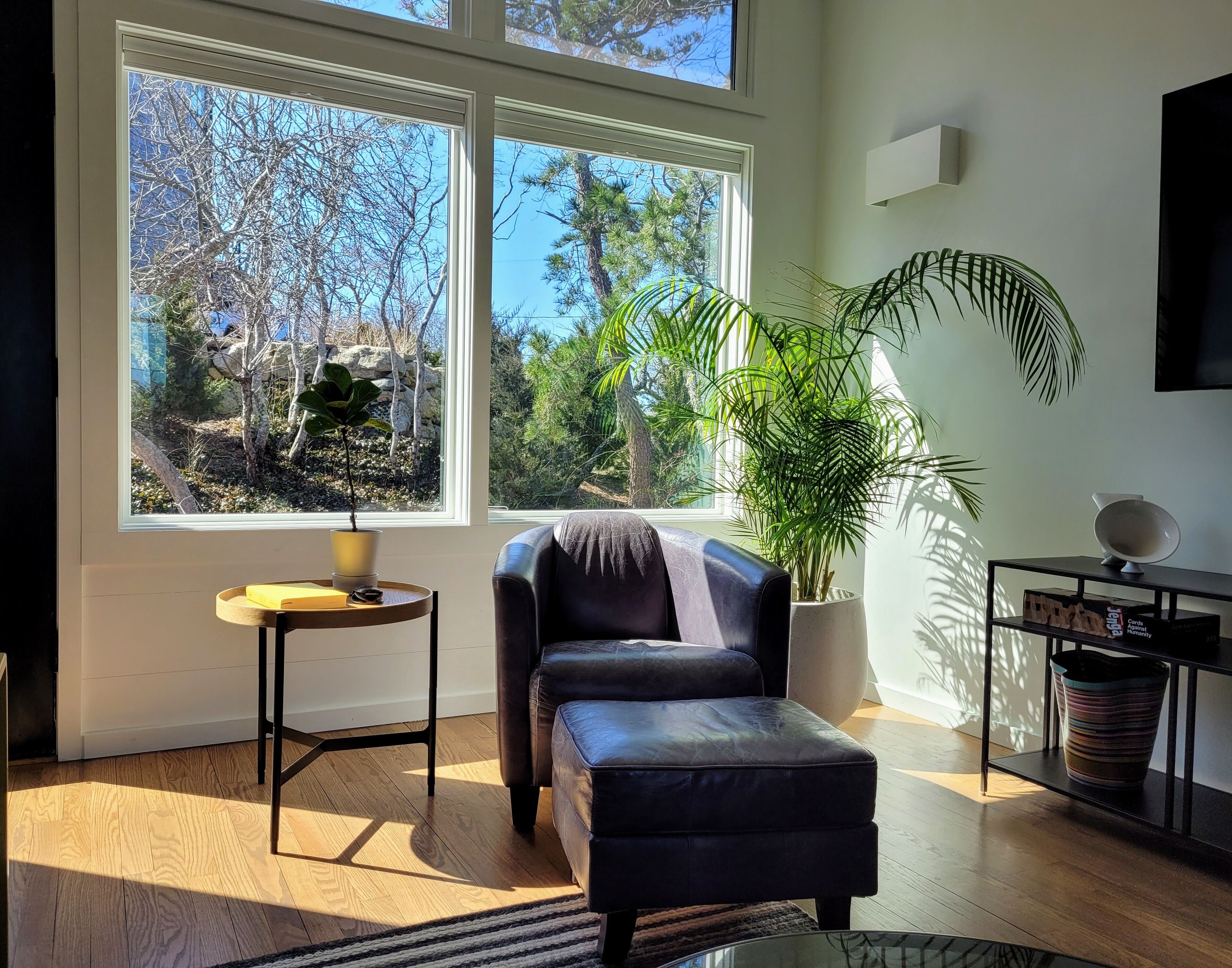 Smart TV, fireplace, books, stereo