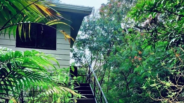 A staircase leading to a building surrounded by dense greenery. - Private Attached 1BR in Monteverde - Gulf Views - Sleeps 3 (Monteverde)
