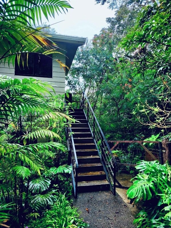 Property grounds - Peaceful Eco-Suite in Monteverde with Wildlife Views & Private Entry (Monteverde)