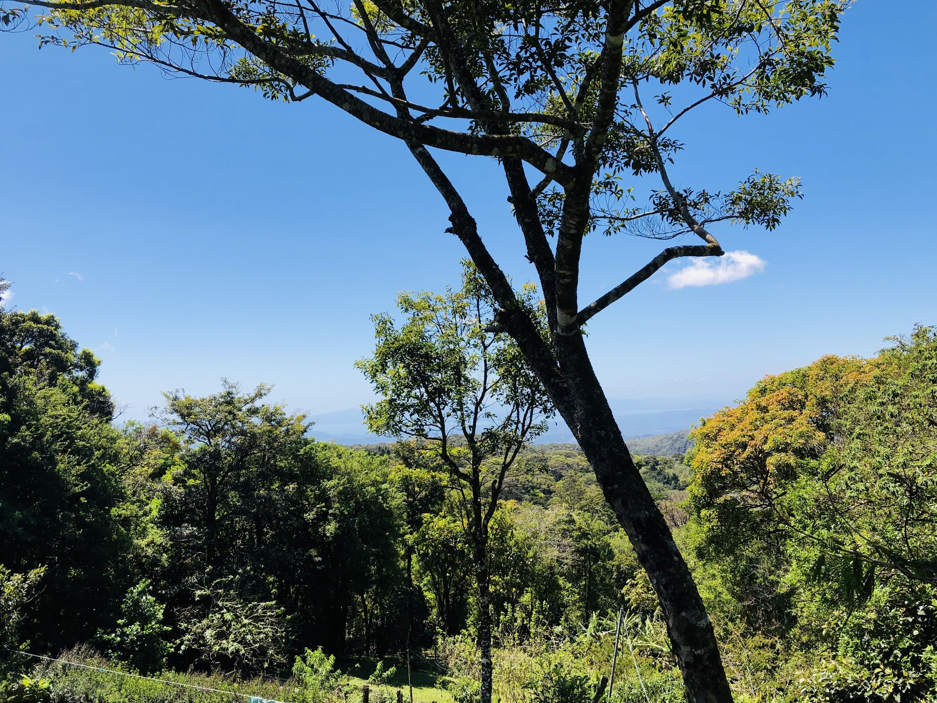 Regadera, secadora de cabello, toallas, jabón 